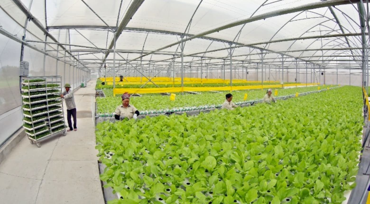 High-tech agriculture brings tangible benefits