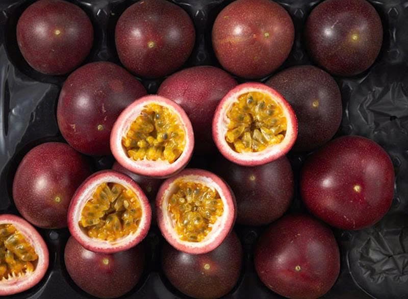 Vietnam sets sights on billion-dollar fruit trade