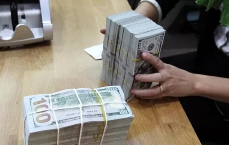 Reference exchange rate at 25,166 VND/USD, down on July 24