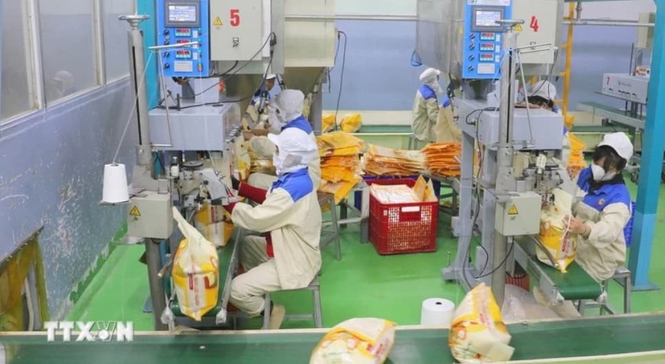 Viet Nam remains Singapore's third-largest rice supplier