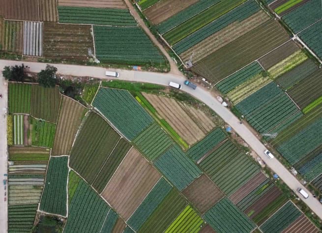 Hanoi Promotes OCOP Products in Specialized Farming Areas