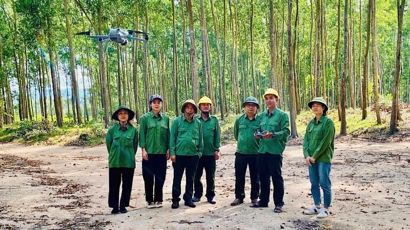 Sustainable forest management and forest certification
