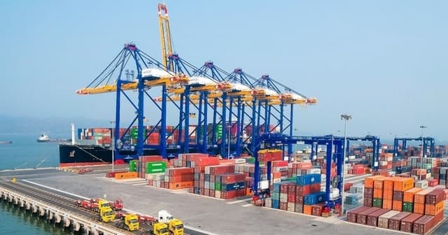 Trade Turnover Jumps 16.2% from January to Mid-July