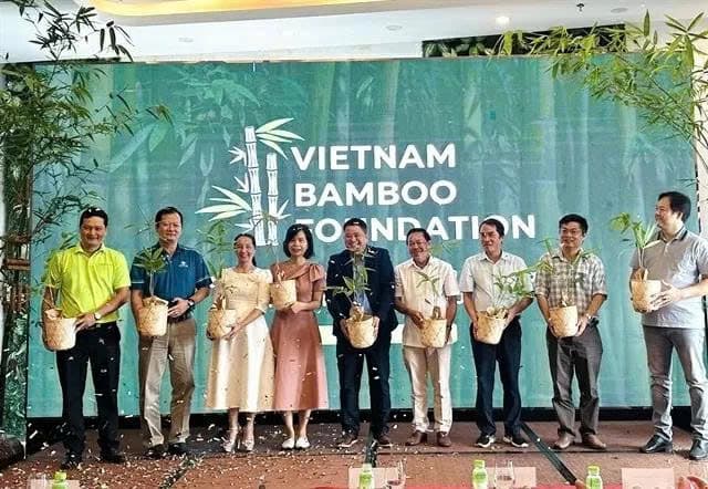 Vietnam Bamboo Foundation champions bamboo for sustainability, heritage preservation