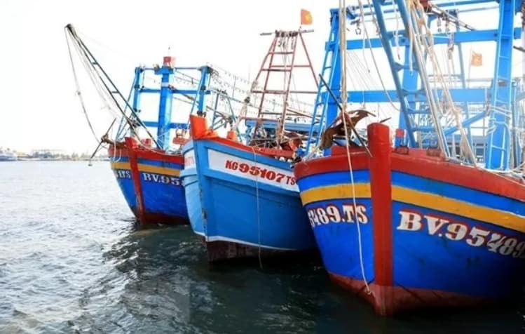 Dong Thap province takes proactive measures to eradicate IUU fishing violations