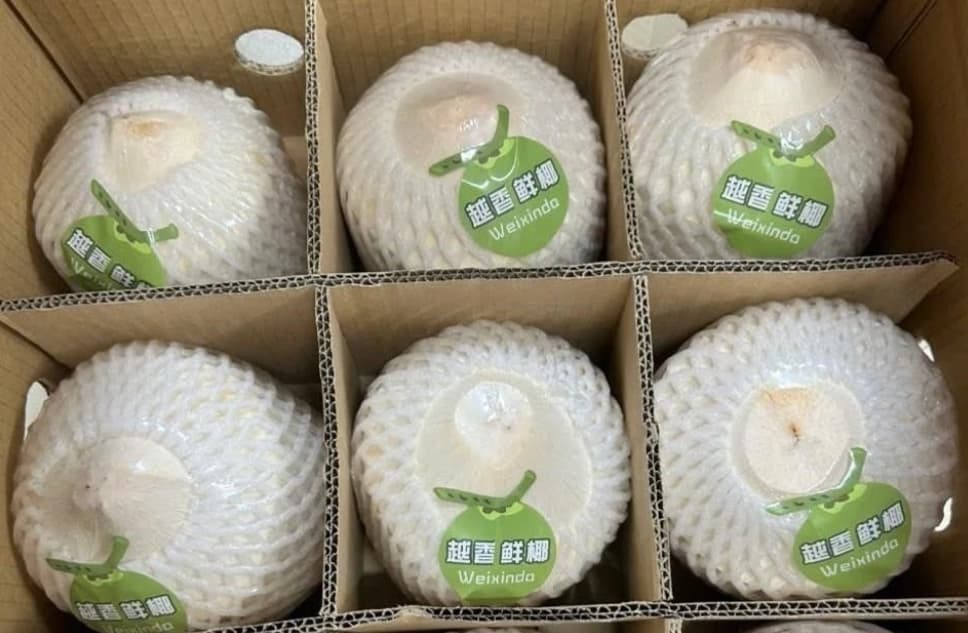 Nearly 22 tonnes of fresh coconuts exported to China via Bac Luan II border gate