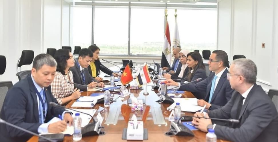 Viet Nam, Egypt strengthen economic ties, eye bilateral FTA