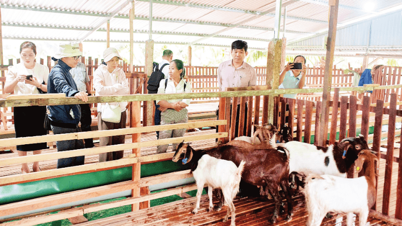 Climate-adapted livestock sector linked to eco-tourism
