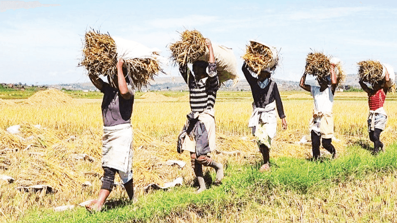 Angola - potential market for Vietnamese enterprises