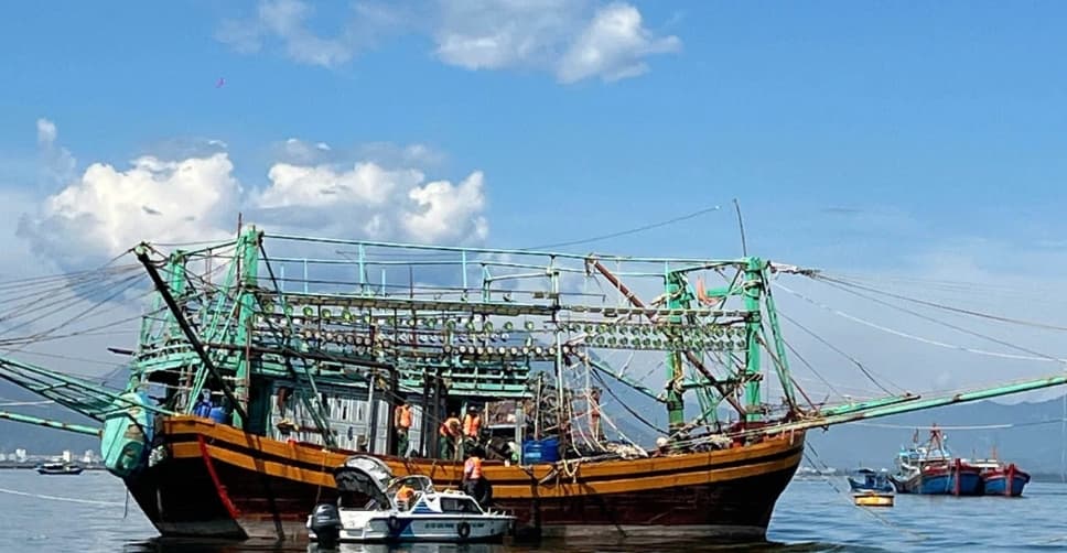 Da Nang expects removal of EC yellow card, sustainable fishery industry