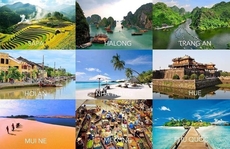 National tourism data platform ‘Visit Viet Nam’ unveiled