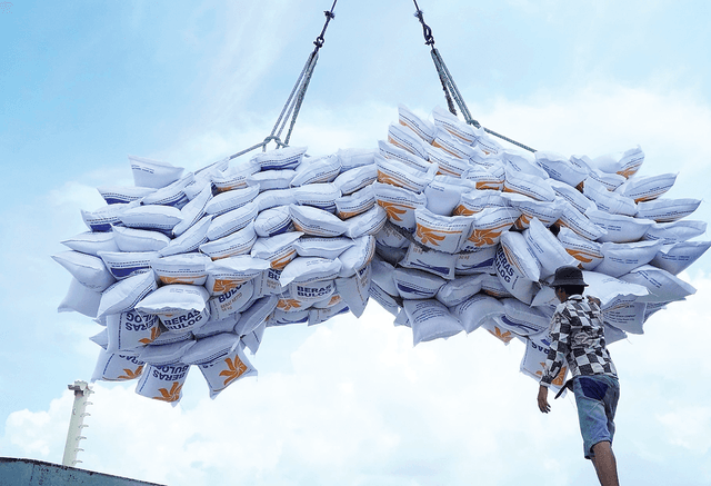 Viet Nam may export 8.8 million tons of rice in 2025