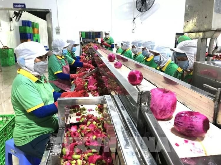 Diversifying markets becomes key for agricultural product exports to achieve yearly target