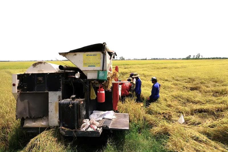 Prime Minister wants rice quality up to secure second largest exporter title