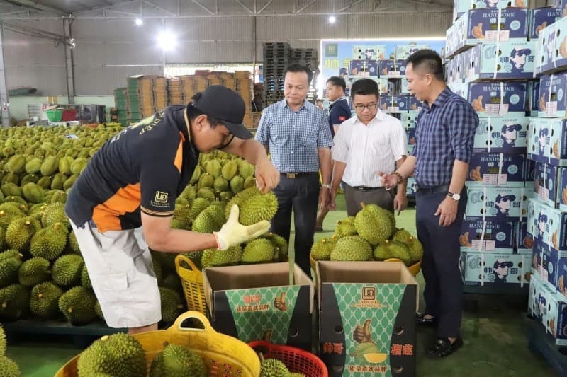 Viet Nam's fruit, vegetable exports regain growth momentum