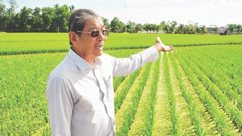 Viet Nam’s rice: From hunger relief to “world’s best”