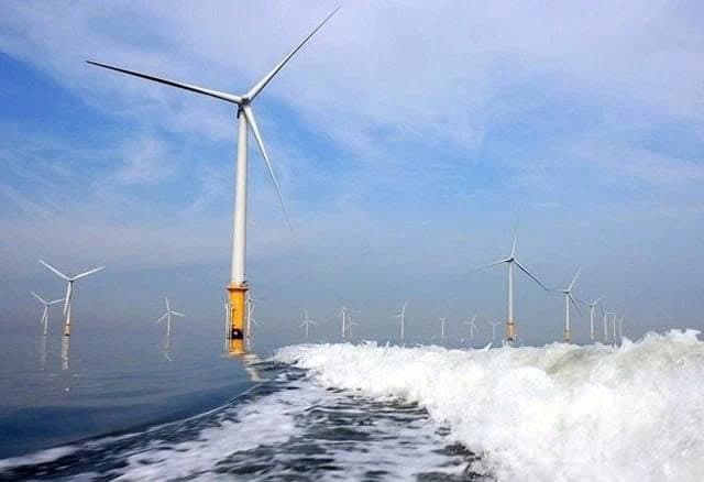 Vietnam’s utility major REE wins two wind power projects worth $152 mln in southern Vietnam