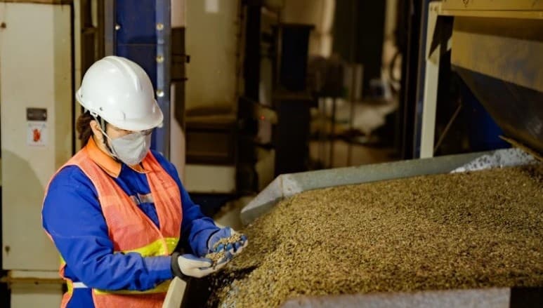 Viet Nam’s coffee prices rise sharply in Japanese market