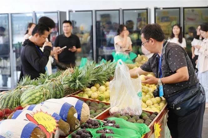 Vietnamese fruit sales thrive in China's booming market