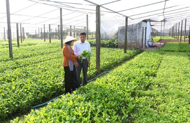 Hanoi Advances Comprehensive, and Sustainable Rural Communities