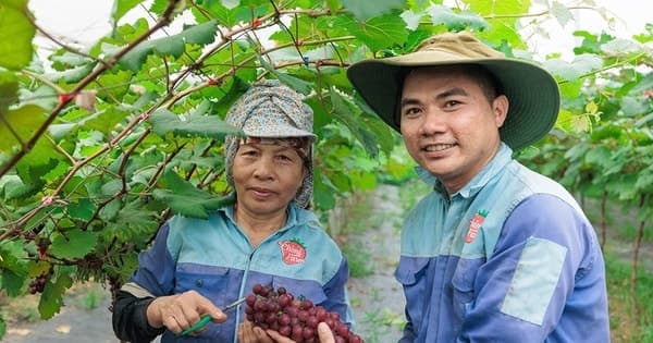 Driving Momentum for Model New Rural Kieu Phu Commune