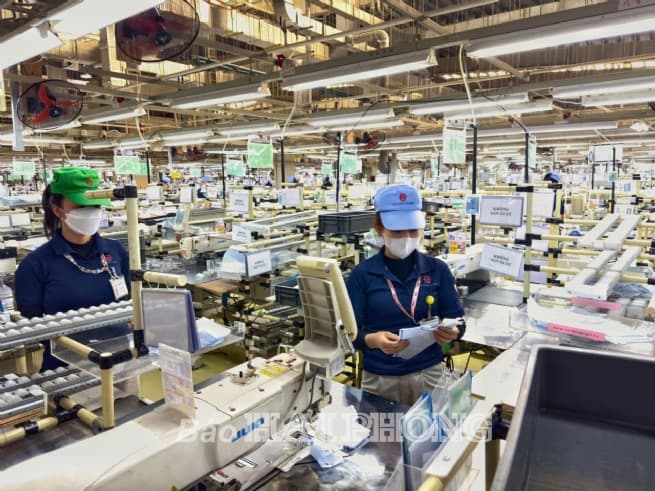 Typical FDI Enterprises: Sustained Commitment to Vietnam’s Development