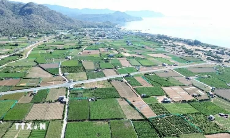 Khanh Hoa: Nuclear power project seen as new growth engine