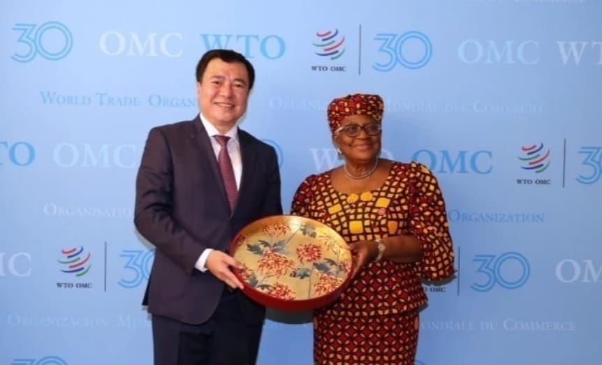Viet Nam supports WTO's reform process: deputy trade minister