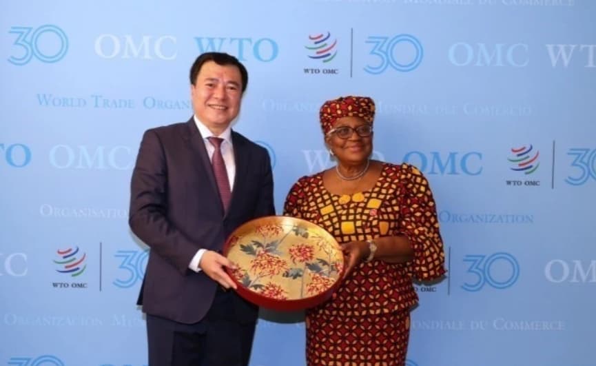 Viet Nam supports WTO's reform process: deputy trade minister