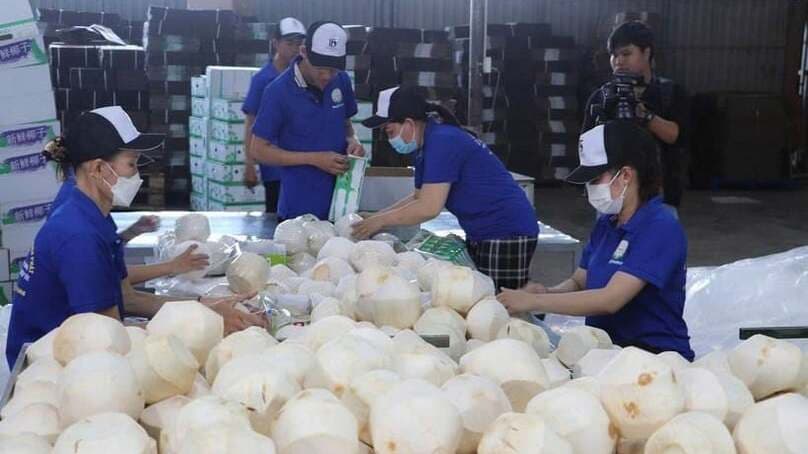 Vietnam’s coconut industry targets $1.15 bln in export value
