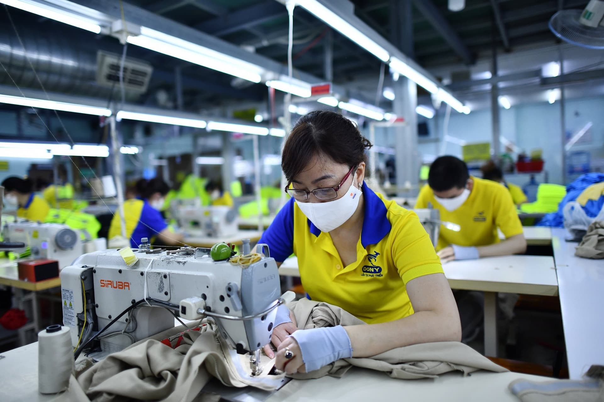 Garment and textile firms eye exports and domestic market for growth