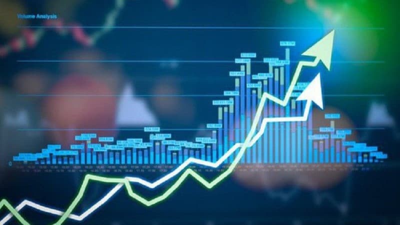 An additional 273 foreign investors granted securities trading codes in August
