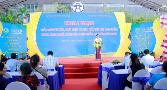Hanoi Bolstering Craft Village Development via Linkage Models