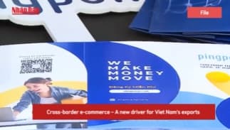 Cross-border e-commerce – A new driver for Viet Nam’s exports
