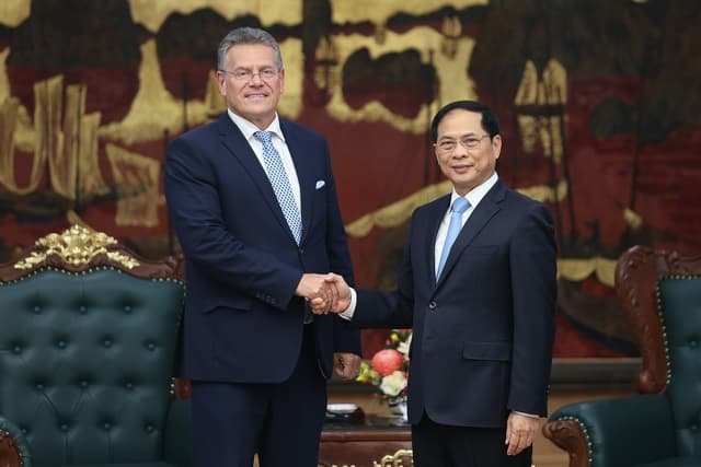 EU Remains One of Viet Nam's Key Partners, Deputy PM Reassures