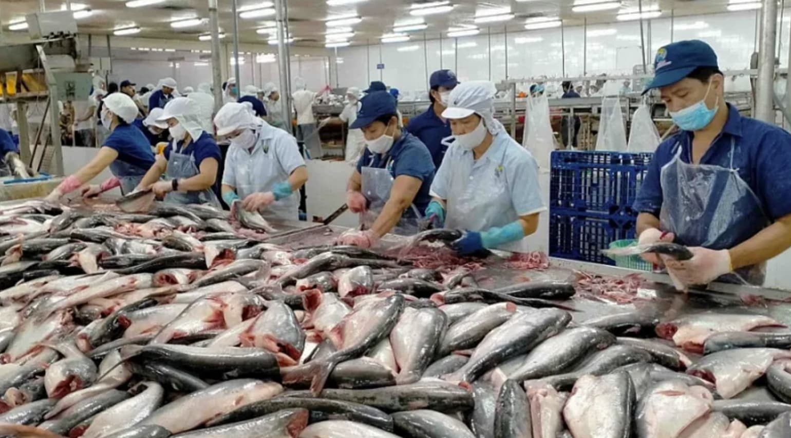 Vietnam urges US to reconsider ban on 12 fisheries sectors