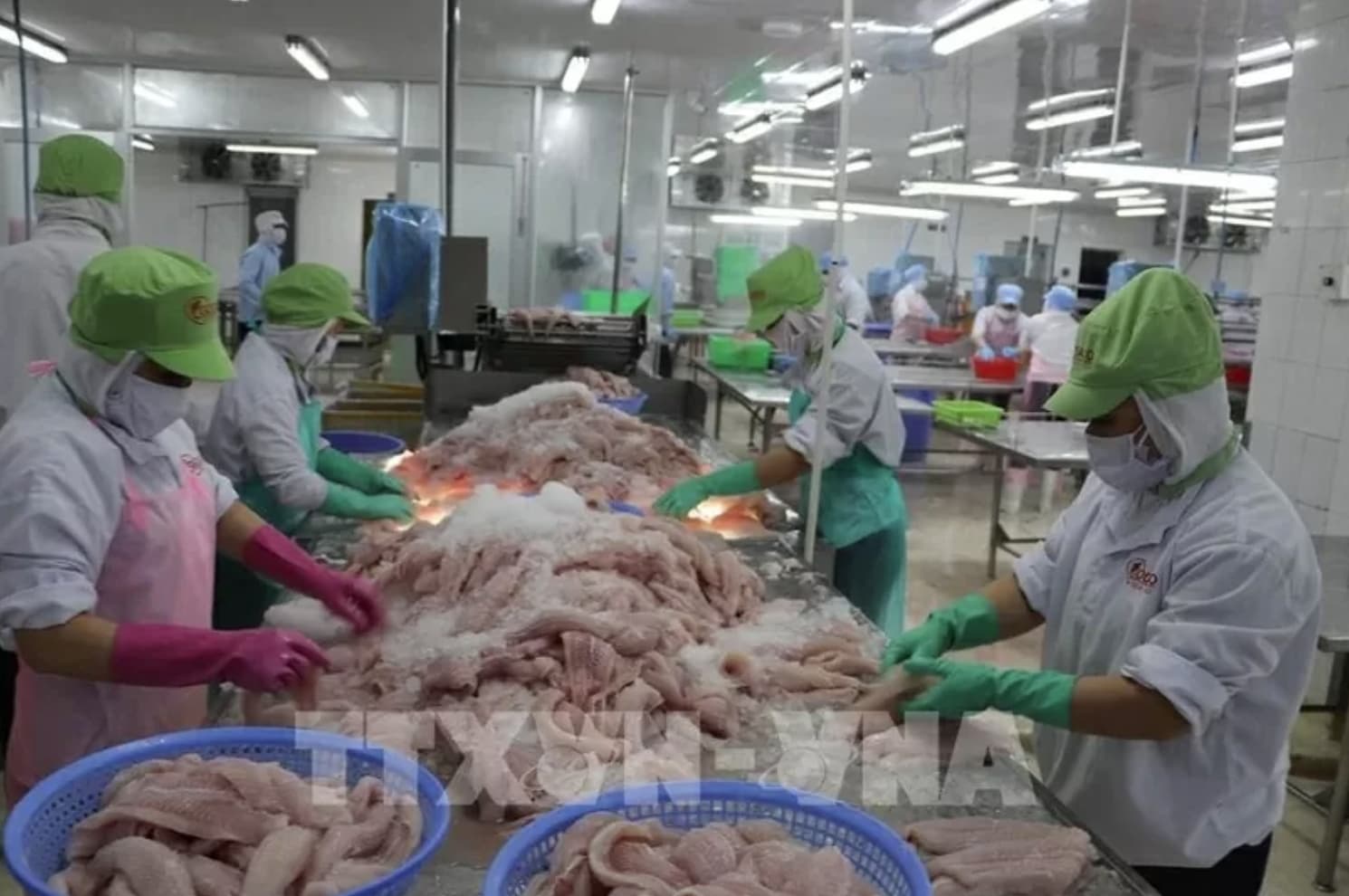 Seafood by-products turned into billion-dollar business