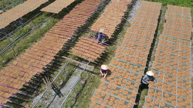 Developing Craft Village Economy: Breakthrough from Digital Transformation