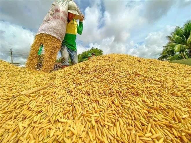Agro-forestry-fishery exports eye record for 2025: Deputy Minister