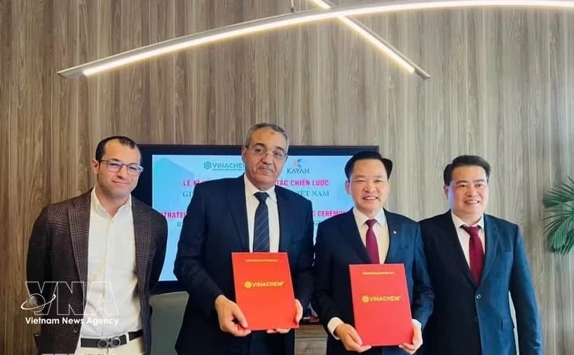 Vietnam, Egypt strengthen cooperation in chemicals and fertilisers