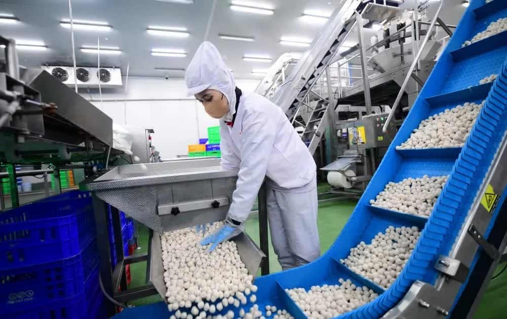 Solving capital bottlenecks to help businesses expand globally