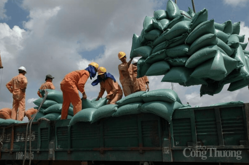 MoIT promotes sustainable rice exports