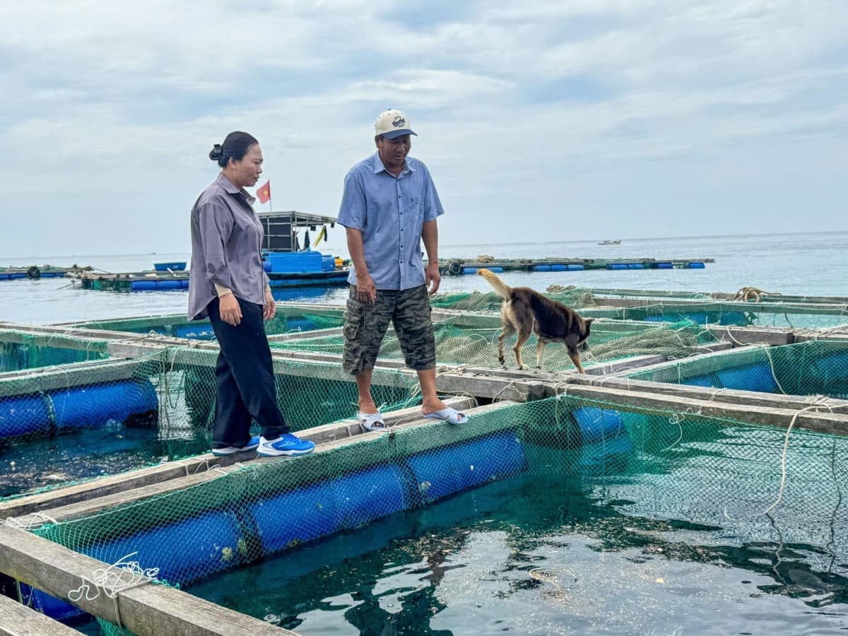 Bank credit sustains livelihoods on Ly Son Island