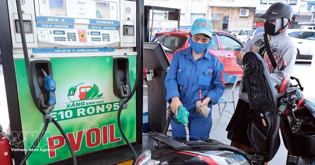 Authorities ordered to closely monitor rollout of E10 biofuel from June 1