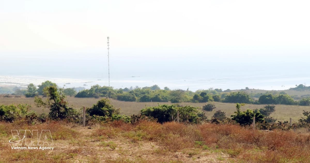 All-out push to fast-track Vietnam’s first nuclear power plants