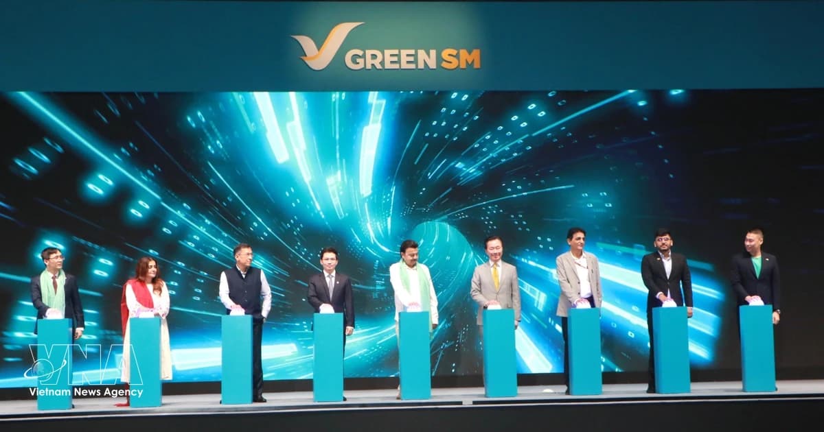 Vietnamese electric taxi service launched in India