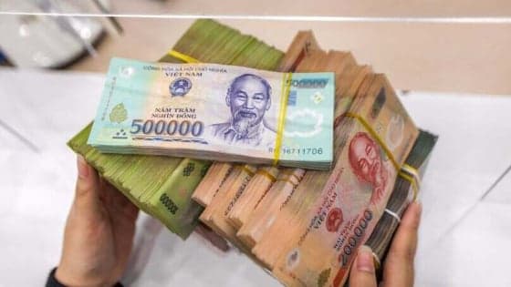 Vietnam firms line up hefty July dividend payouts