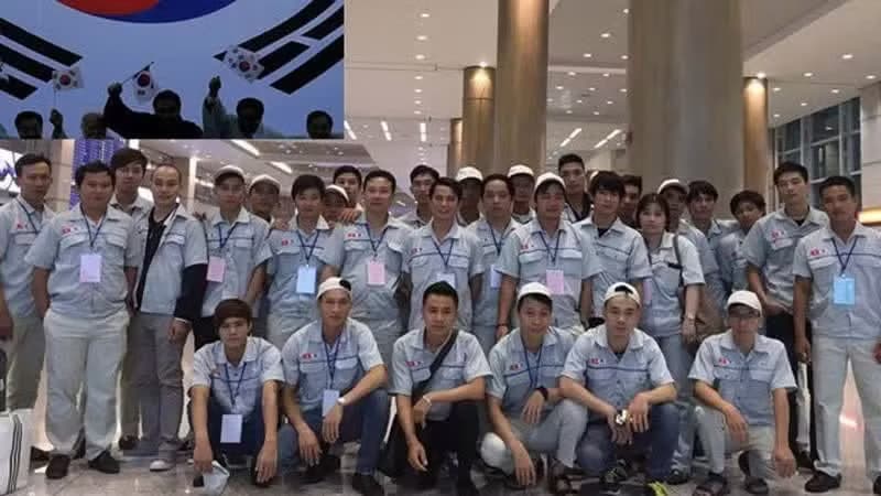 Opportunities for Vietnamese workers in the Republic of Korea's root industry sector