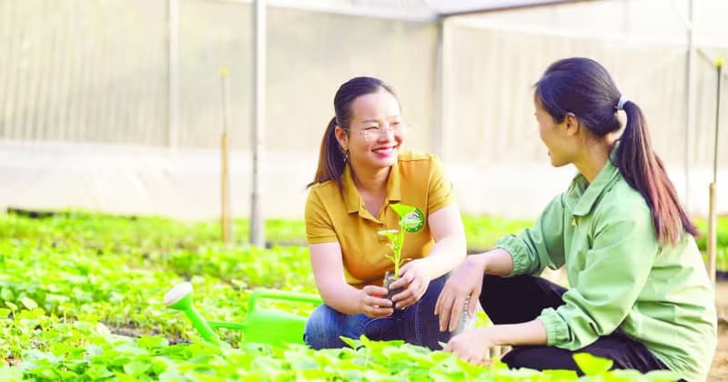 Technology transfer, production mindsets innovation boosted