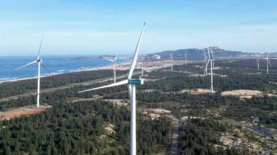 Renewable energy becomes new 'strategic piece' for major Vietnamese firms